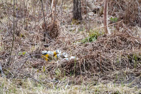 Kuru dallar ve çimenlerin arasında, ormanda duran hurda metal kutular..