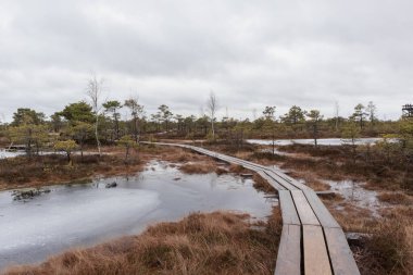 Suyla kaplı küçük bir alanı olan bataklıktan geçen ahşap bir tahta kaldırım..
