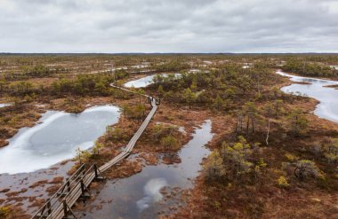 Bataklıkta suyla ve kozalaklarla kaplı küçük alanlarla dolambaçlı ahşap bir tahta kaldırımı olan engin bir bataklık manzarası..