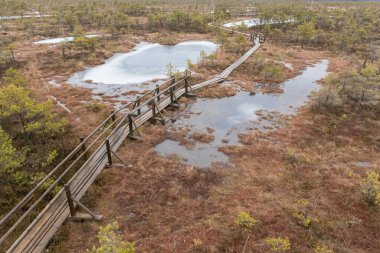 Bataklık arazisinden geçen tahta bir yaya köprüsü. Suyla kaplı küçük bir alan..