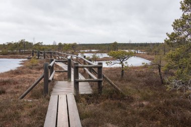 Suyla kaplı küçük bir alanı olan bataklıktan geçen korkuluklu ahşap bir tahta kaldırım..