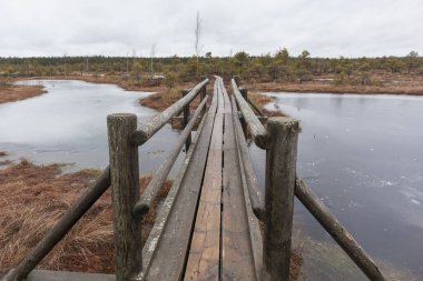 Suyla kaplı küçük bir alanı olan bataklıktan geçen korkuluklu ahşap bir tahta kaldırım..