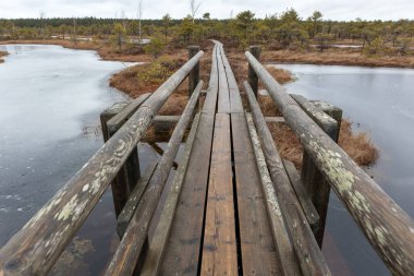 Suyla kaplı küçük bir alanı olan bataklıktan geçen korkuluklu ahşap bir tahta kaldırım..