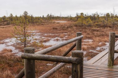 Parmaklıklı ahşap bir tahta kaldırım. Suyla kaplı bataklık bir alanda süzülüyor..