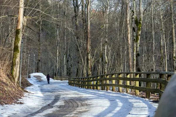 Koyu renk elbiseli bir adam ormanda karlı bir yolda yürüyor. Tahta çit boyunca..