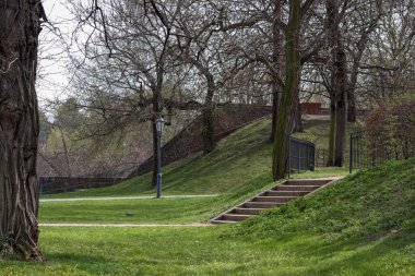 Şehirdeki bir otoparkta birkaç arabanın arasına park etmiş sarı bir scooter..