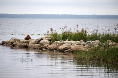 Sağ tarafında kayalık bir kıyısı olan sakin bir su kütlesi, burada çeşitli su bitkileri yetişir..