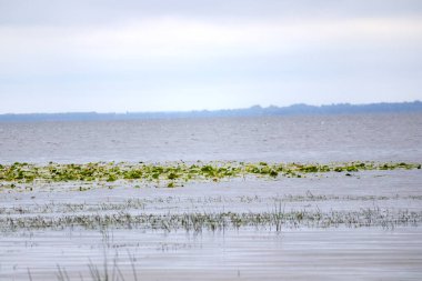 Suyun üstünde ve altında küçük adaları olan büyük ve sakin bir su kütlesi. Ufukta alçak bir kıyı şeridi görünüyor, bulutlu bir gökyüzünün altında..
