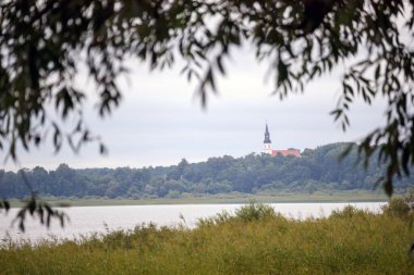 .Bulanık ağaç dallarının arasından manzara, çimenli bir banka... 
