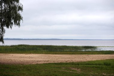 Önünde kumlu bir plaj olan huzurlu bir manzara, arkasında çimenli bir kıyıya uzanan bir su kütlesi, ve bunun ötesinde bulutlu bir gökyüzünün altında bir orman görülebilir..