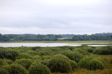 Ön planda alçak çalılar ve çimlerle kaplı, arkasında sakin bir su kütlesi uzanan ve bulutlu bir gökyüzünün altında bir orman görülebilen engin bir manzara..