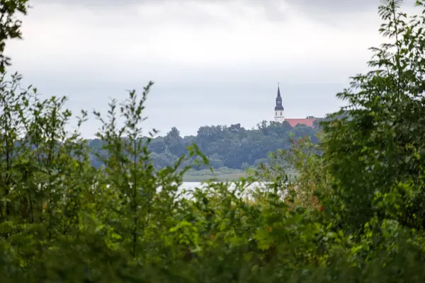 Yeşil çalıların arasında bir manzara, uzaktaki bir su kütlesini gösteriyor, arkasında yeşil ağaçlar ve muhtemelen bulutlu bir gökyüzünün altında sivri uçlu kulesi olan bir bina, muhtemelen bir kilise..