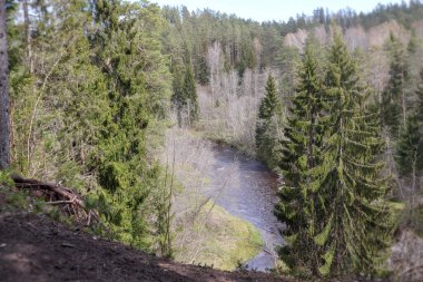 Yukardan, sarmal bir nehir görülebilir, dik, kırmızımsı kahverengi kıyıları olan ormanlık bir vadiden akar, kozalaklı ağaçlar ve yaprak döken ağaçlar büyür ve manzara gün ışığıyla aydınlatılır..
