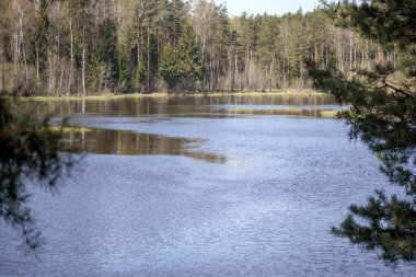 geniş bir su kütlesi, bir nehir ya da uzantılarından biri, çeşitli ağaçlarla çevrili ağaçlarla çevrili, ve gökyüzü ve çevresindeki manzara suya yansıyor..