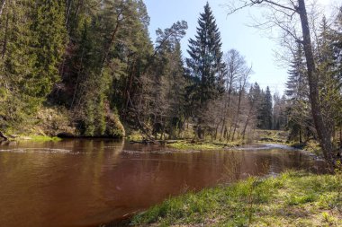 Kırmızımsı kahverengi kumtaşı çıkıntıları ve yeşil ağaçlar arasında yavaşça akan sakin bir nehir, suyun yüzeyindeki mavi gökyüzünü yansıtıyor..