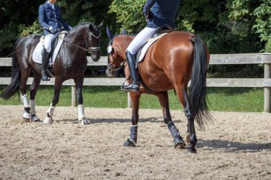 Kumlu bir arenada at süren iki binici, biri siyah bir at ve diğeri kahverengi bir at üzerinde, her iki atın da bacaklarında bandaj var..