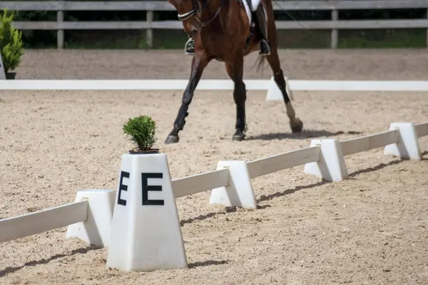 Koyu yeşil ve siyah bir çit ya da binicilik arenasının sınırına benzeyen bir bariyer..