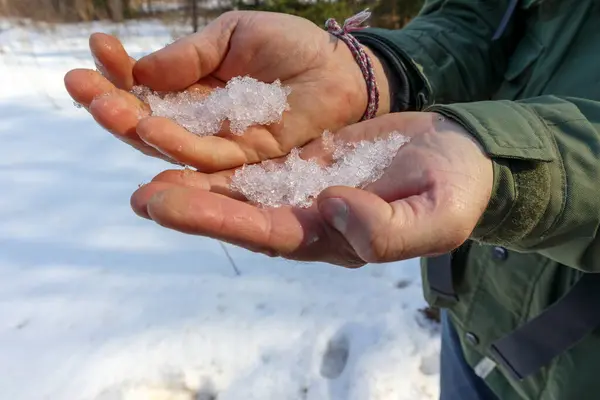 İnsan elleri, arka planda karlı zemin ve bulanık ağaçlarla eriyen kar ya da buz dolu elleri tutuyor..