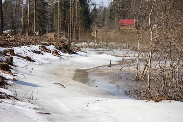 Kıyılarında kar ve buz parçaları olan kısmen donmuş bir su kütlesi. Uzakta kırmızı bir evi olan ormanlık bir araziye kurulmuş..