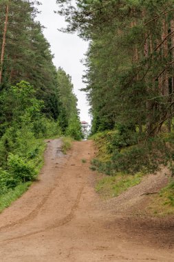 Yüksek çam ağaçlarıyla çevrili kumlu bir orman yolu tepeye yükselir, parlak bir gökyüzünün altındaki bir gözlem kulesinin görüntüsünü ortaya çıkarır..