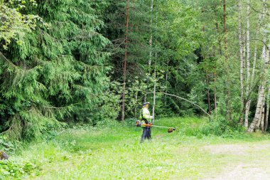 Parlak sarı ceketli bir kişi yeşil bir ormanın kenarlarını korumak için bir budayıcı kullanır..