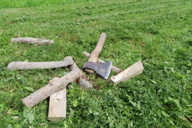 Bir balta, diğer kesik odun ve dallarla çevrili bir tahta parçasına sıkışmış, canlı yeşil çimlerin üzerinde yatıyor..