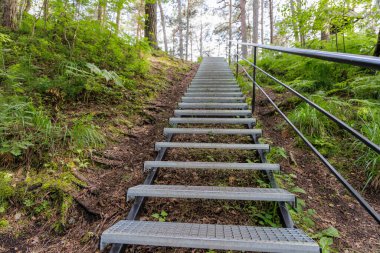 Uzun, dayanıklı metal bir merdiven dik, yemyeşil bir orman tepesine tırmanıyor. Erişim sağlıyor ve maceralı bir yolculuk öneriyor..