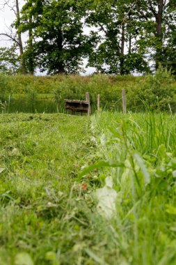  Yeşil bir tarlada aşınmış ahşap bir çit direğinin alçak açılı görüntüsü, yemyeşil ağaçlar ve arka planda bir tümsek..