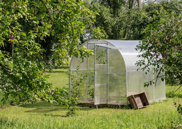 A compact, clear greenhouse stands amidst green trees and grass in a sunny garden, symbolizing growth and sustainable living.