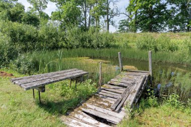 Bereketli yeşil bitki örtüsüyle çevrili, dingin bir göletin kenarında yıpranmış ahşap bir rıhtım ve bank..
