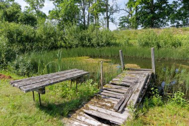 Bereketli yeşil bitki örtüsüyle çevrili, dingin bir göletin kenarında yıpranmış ahşap bir rıhtım ve bank..