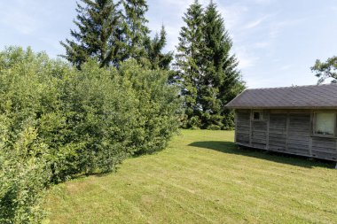  Küçük bir ahşap kulübe yemyeşil bir çimenlikte, sık çalılar ve açık gökyüzünün altındaki yüksek yeşil ağaçlarla çevrili..