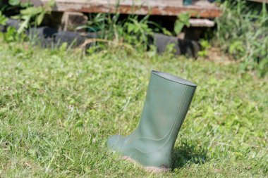 Tek bir yeşil lastik çizme parlak güneş ışığı altında canlı yeşil bir çimenlikte dimdik duruyor..