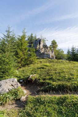  Mavi bir gökyüzünün altındaki dik, çimenli bir yamaçtaki çam ağaçlarıyla çevrili büyük kayalık bir çıkıntının dikey görüntüsü..