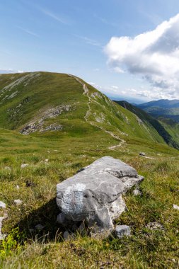Tüylü beyaz bulutlarla dolu mavi bir gökyüzünün altında canlı yeşil bir dağ sırtı boyunca bir yürüyüş yolu yılanı..