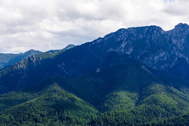  Karanlık yamaçları ve orman önü olan görkemli bir dağ sırasının manzarası. Yoğun bulutlarla dolu dramatik bir gökyüzünün altında..