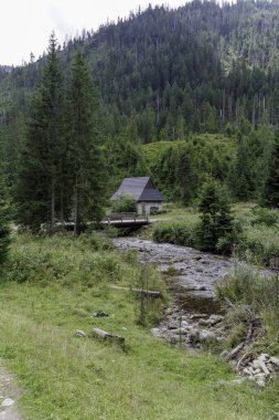 Küçük taştan bir kulübesi ve kayalık bir derenin üzerinde ahşap bir köprüsü olan güzel bir dağ manzarası, yoğun yeşil bir ormanla çevrili..