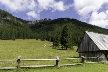 Koyun sürüsü otlayan güzel bir dağ otlağı, kırsal ahşap bir kulübe, bir çit ve arka planda dik, ormanlı bir yamaç..