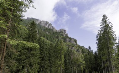 Dinamik, parçalı bulutlu bir gökyüzünün altındaki engebeli, orman uçurumunun nefes kesici manzarası doğanın saf güzelliğini gözler önüne seriyor..