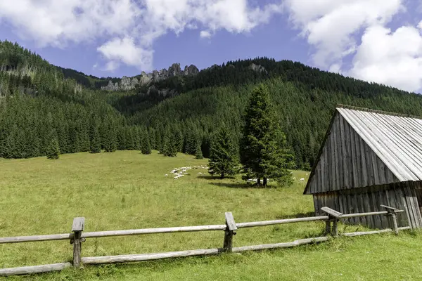  Kırsal bir ahşap kulübe ve çitin yanında yeşil bir çayırda otlayan bir koyun sürüsü. Arka planda orman dağı ve kayalık çıkıntılar var..