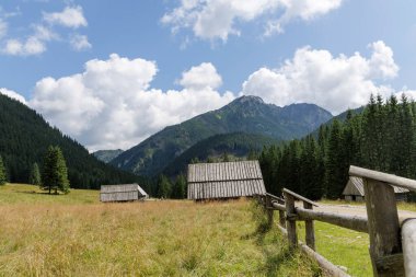  Önünde iki ahşap kulübe ve bir çit olan görkemli bir dağ ve arka planda çam ormanı olan pitoresk bir dağ vadisi..