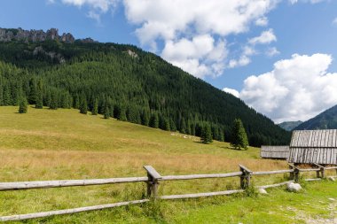  Yeşil çayırı ve yamaçta sık bir ormanı olan ahşap bir çit ve kırsal bir kulübe içeren güzel bir dağ manzarası..