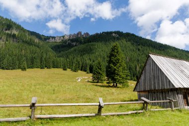 Koyun sürüsü otlayan güzel bir dağ otlağı, kırsal ahşap bir kulübe, bir çit ve arka planda dik, ormanlı bir yamaç..