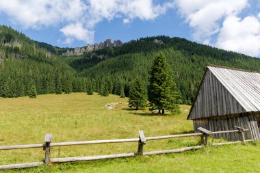  Kırsal bir ahşap kulübe ve çitin yanında yeşil bir çayırda otlayan bir koyun sürüsü. Arka planda orman dağı ve kayalık çıkıntılar var..