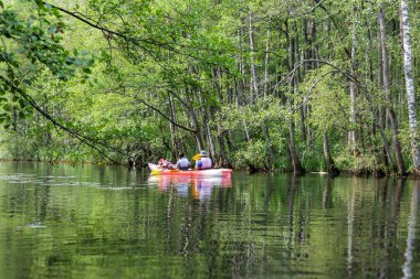 Sakin bir nehir boyunca bir kano kürek çeken iki kişi, üzerinde yeşil dallar ve yemyeşil ağaçlar ile çerçevelenmiş, somut takım çalışması ve barışçıl keşif..