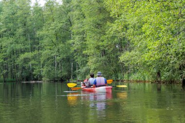 Sakin, yansıtıcı su ve yemyeşil ağaçlarla sakin bir nehirde kürek çeken iki kişinin arkasından yakın çekim görüntüsü..