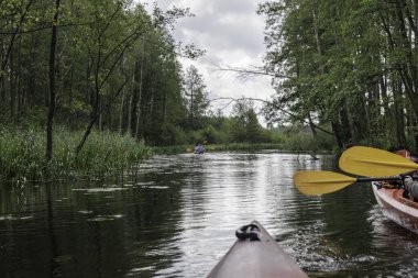  Bir kanonun birinci şahıs görüntüsü iki sarı kürek ve bir kano ilerideki sakin, ağaçlarla kaplı bir nehirde macera ve huzur hissi uyandırıyor..