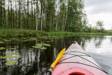 Arka planda sık bir orman bulunan karanlık, yansıtıcı bir nehirde sarı bir kürek ve su zambaklarını ön plana çıkaran bir kanonun yakın görüntüsü..