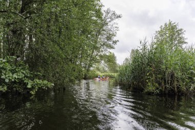 İki kanocu, sakin, dolambaçlı bir nehirde ağaçtan sarkan dallar ve uzun sazlıklar kıyılarda süzülerek kameradan uzaklaşır..