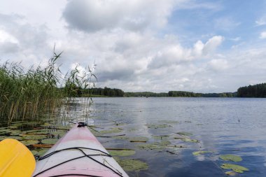 Geniş, sakin bir göl üzerindeki kanodan birinci şahıs manzarası. Önünde sazlıklar ve nilüferler ve bulutlu bir gökyüzünün altında uzak bir orman çizgisi var..